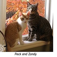 Peck and Zandy