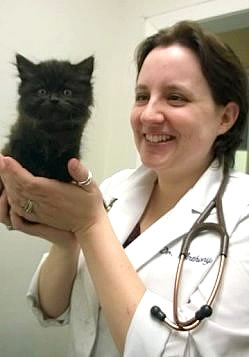 Purrfect Health Cat Hospital Lone Tree, Colorado